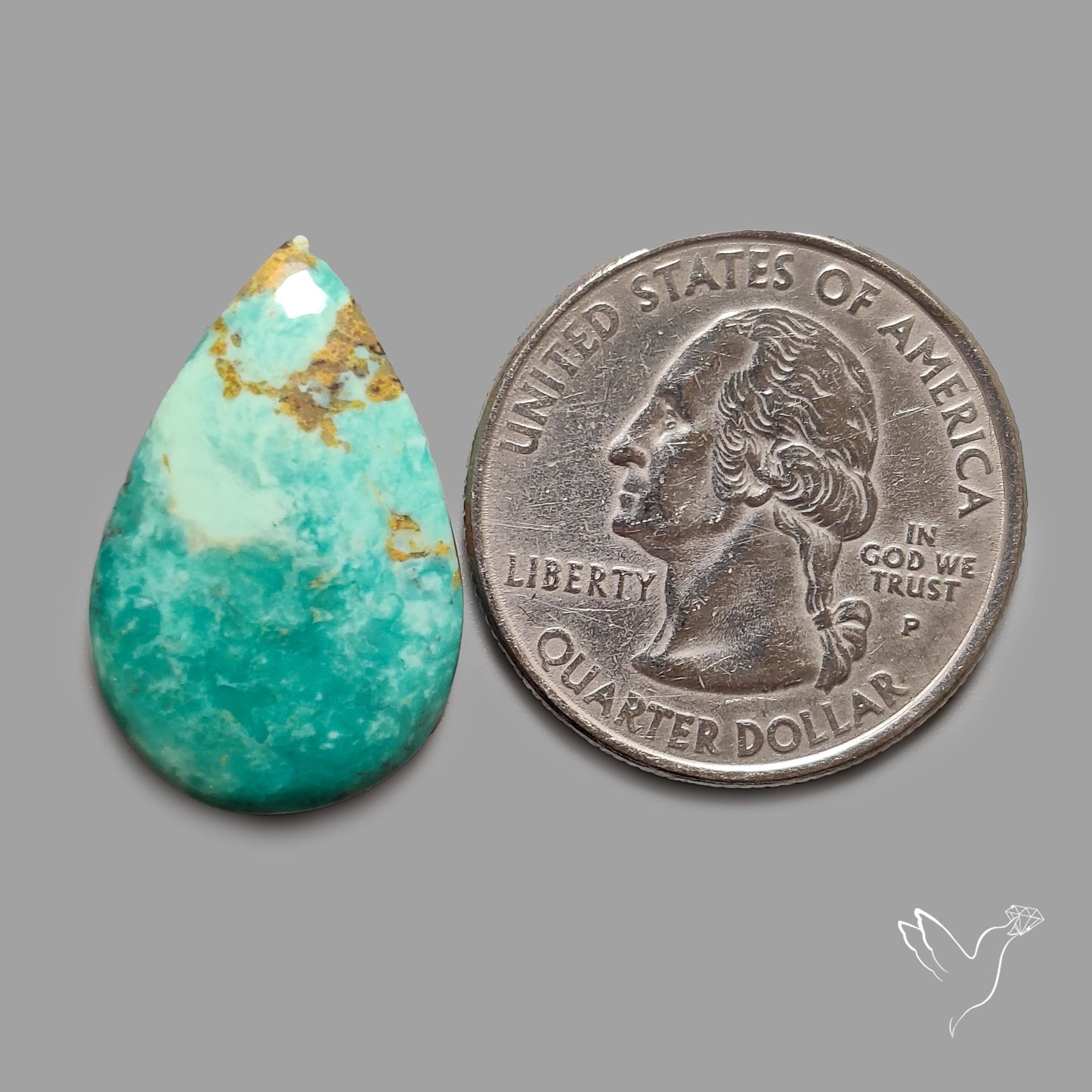 Rare Arizona Patogonia Turquoise Cabochon