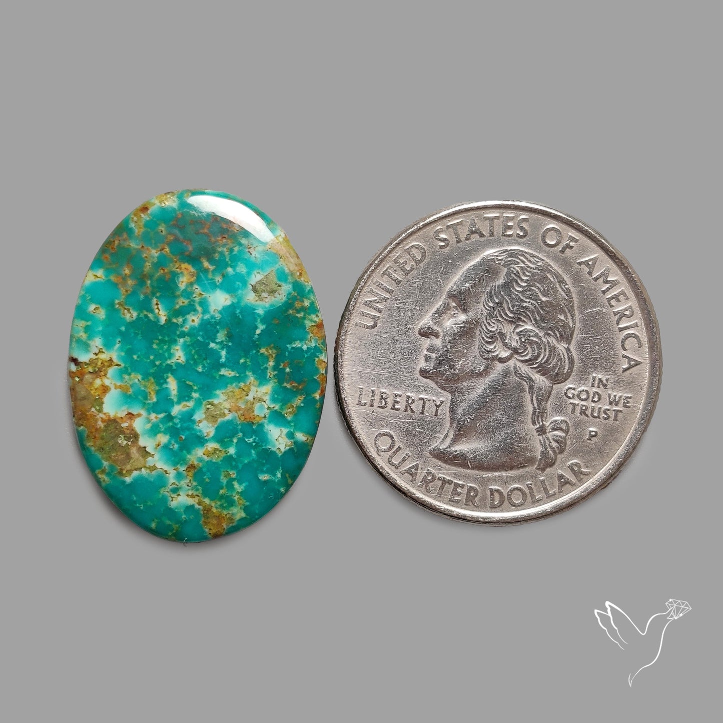 Rare Arizona Patogonia Turquoise Cabochon