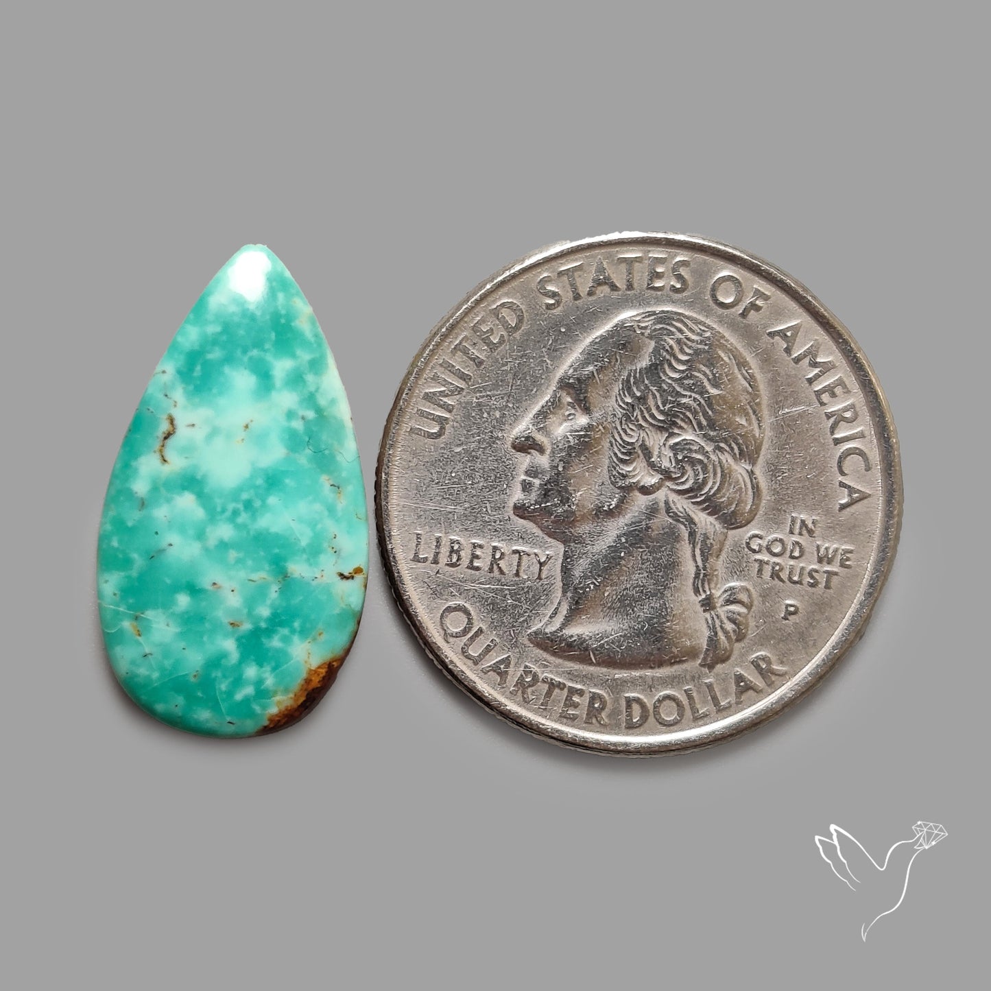 Rare Arizona Patogonia Turquoise Cabochon