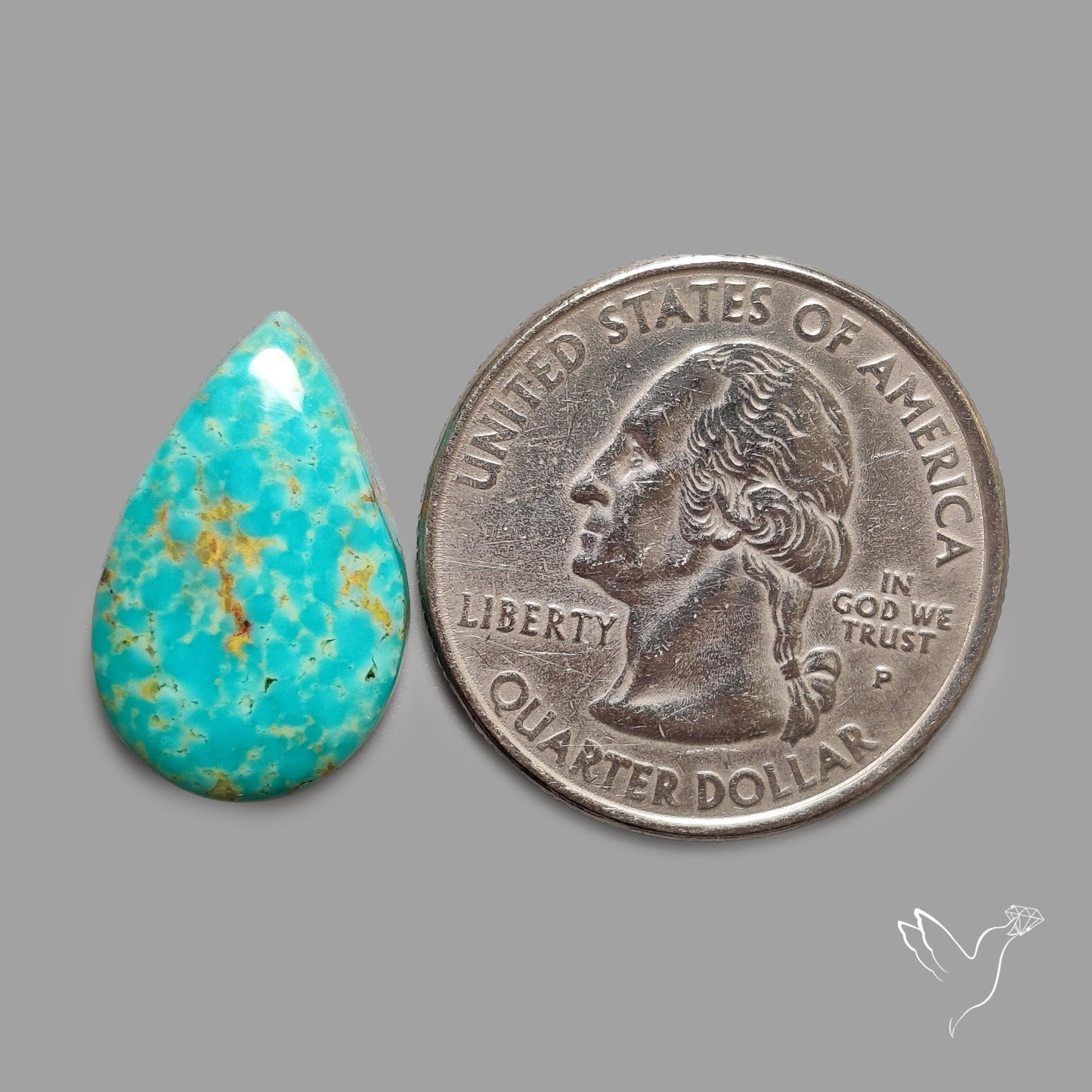 Rare Arizona Patogonia Turquoise Cabochon