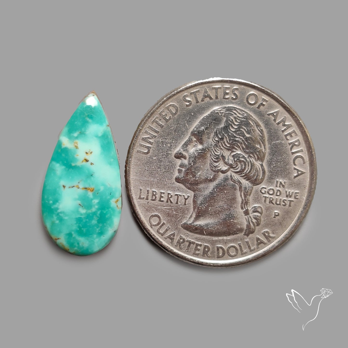 Rare Arizona Patogonia Turquoise Cabochon