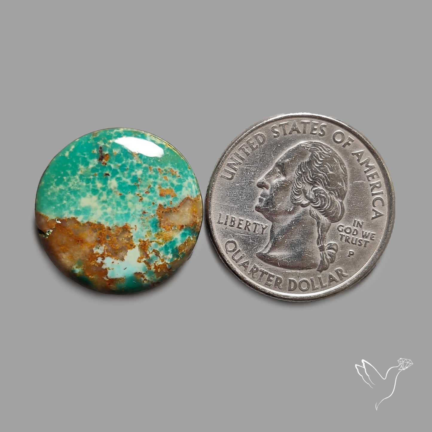 Rare Arizona Patogonia Turquoise Cabochon
