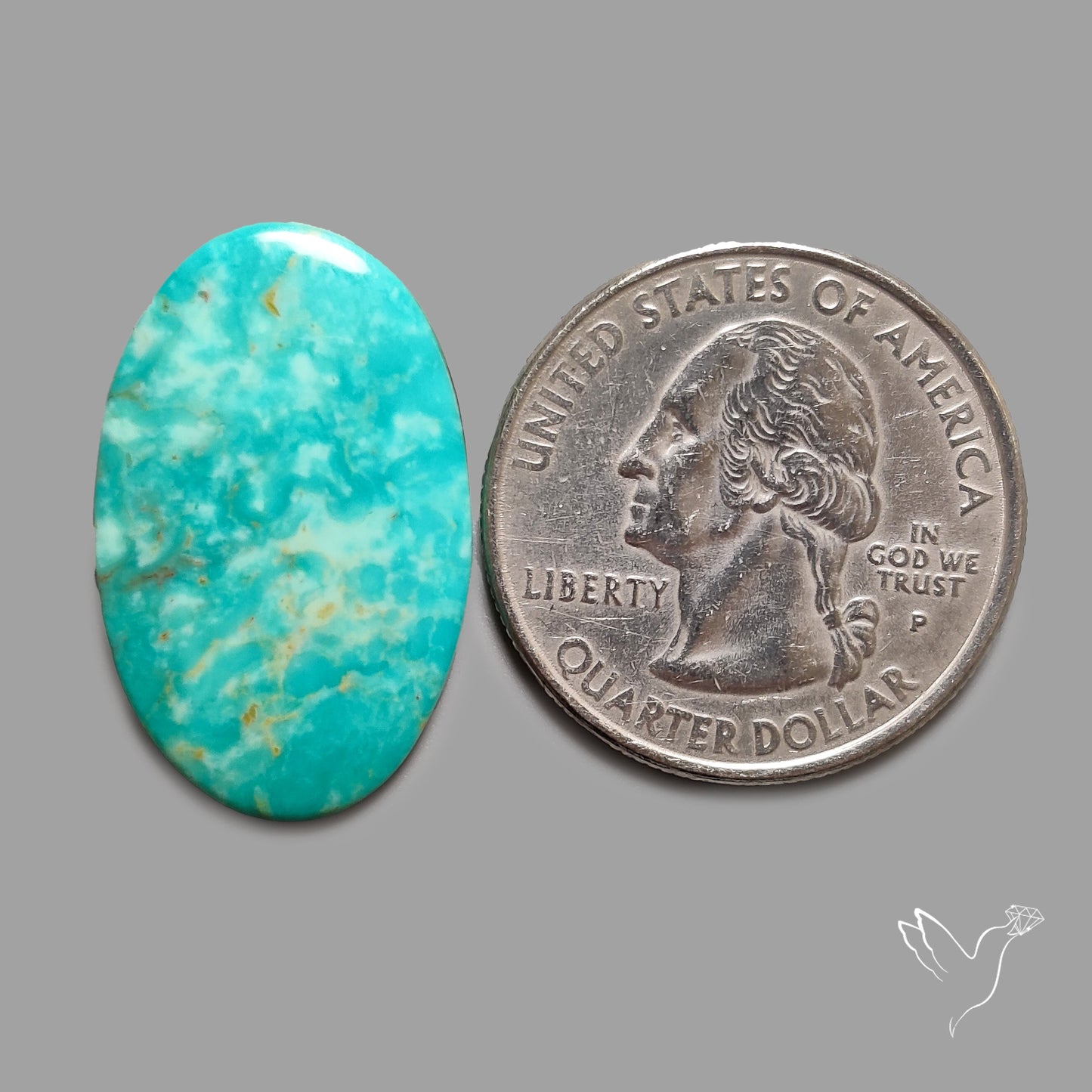 Rare Arizona Patogonia Turquoise Cabochon