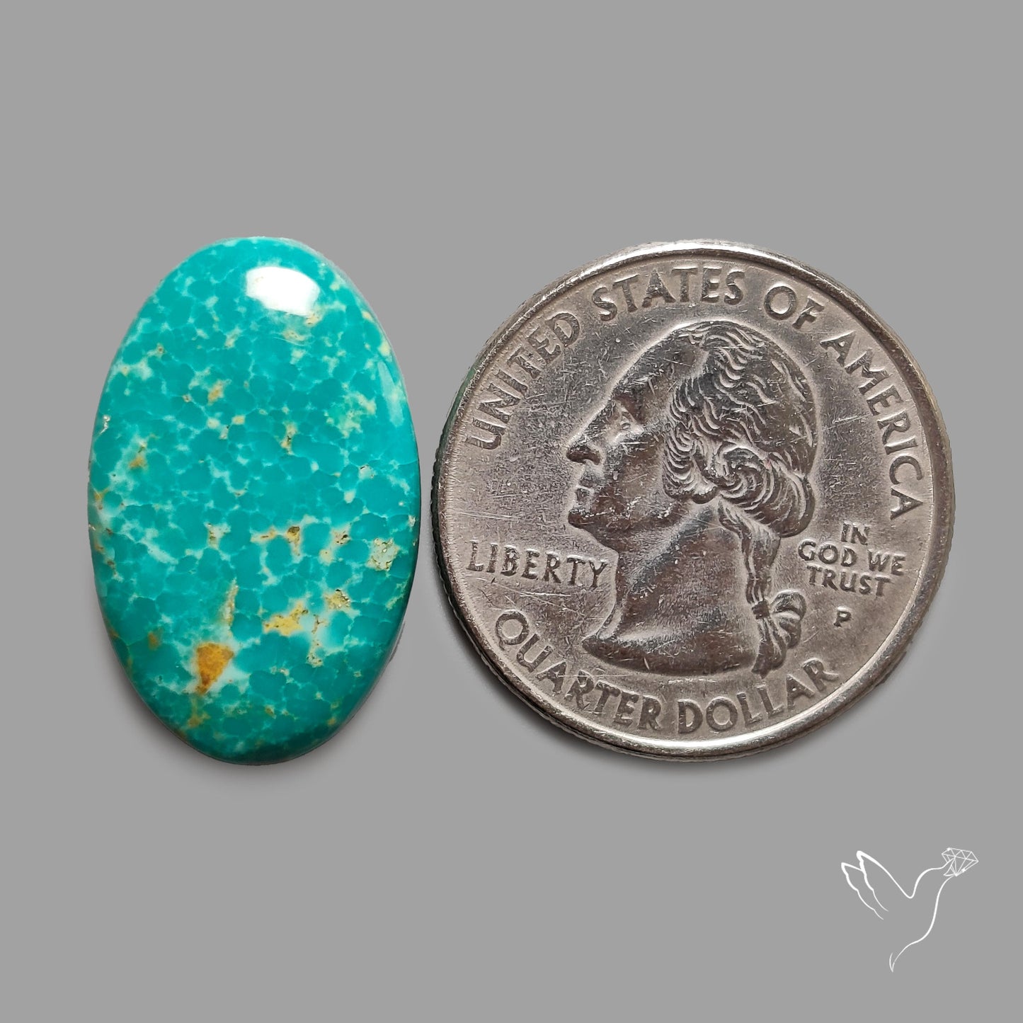 Rare Arizona Patogonia Turquoise Cabochon