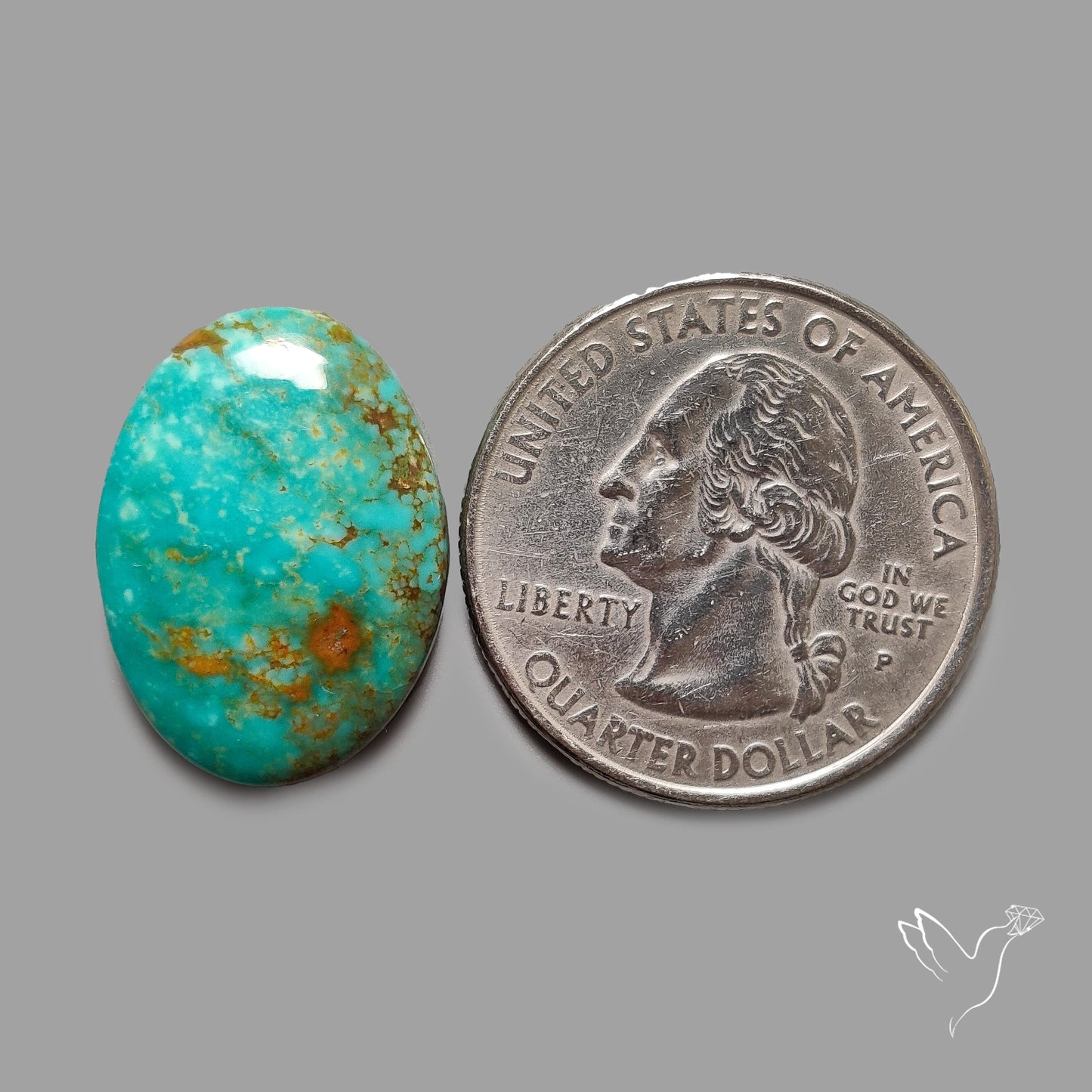 Rare Arizona Patogonia Turquoise Cabochon