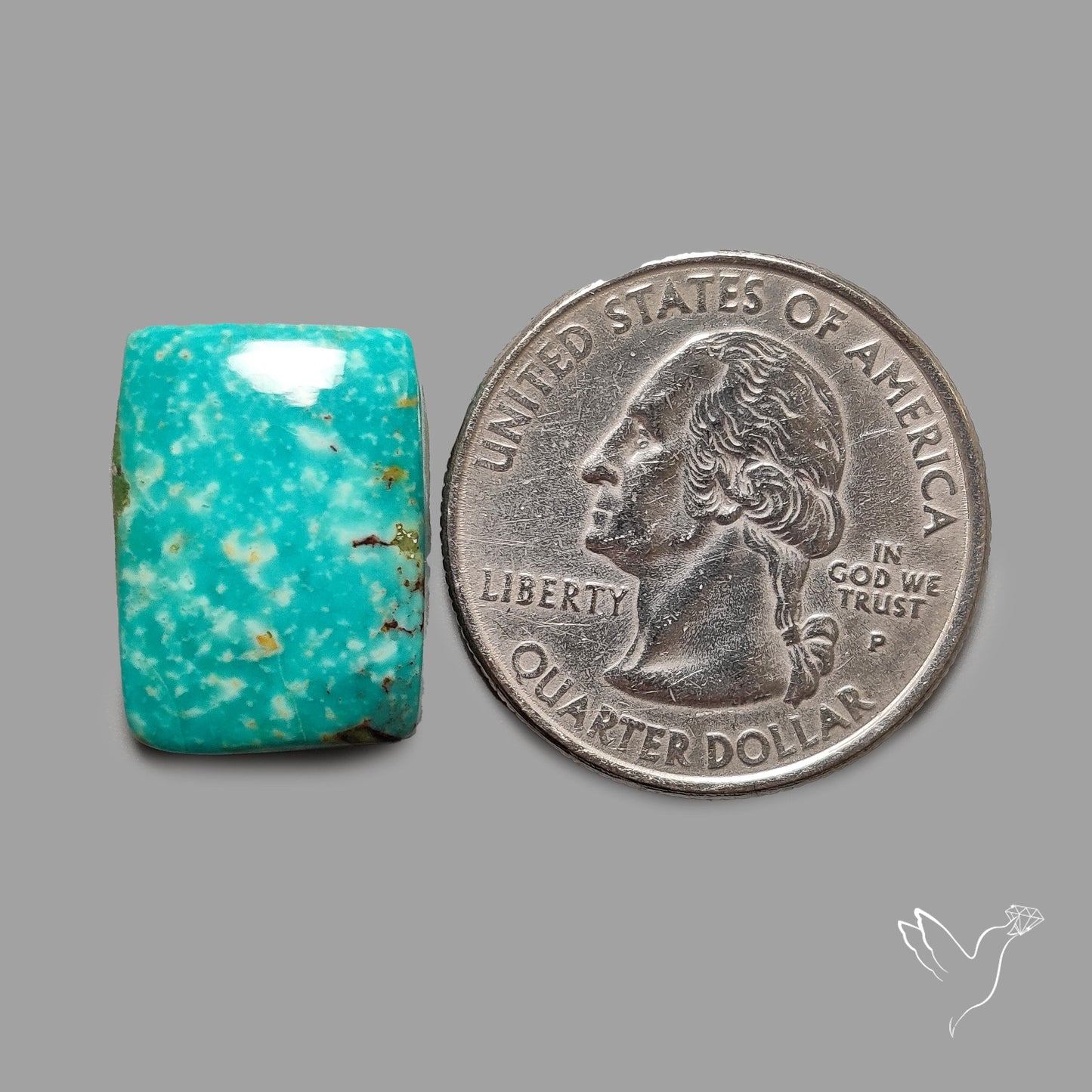 Rare Arizona Patogonia Turquoise Cabochon