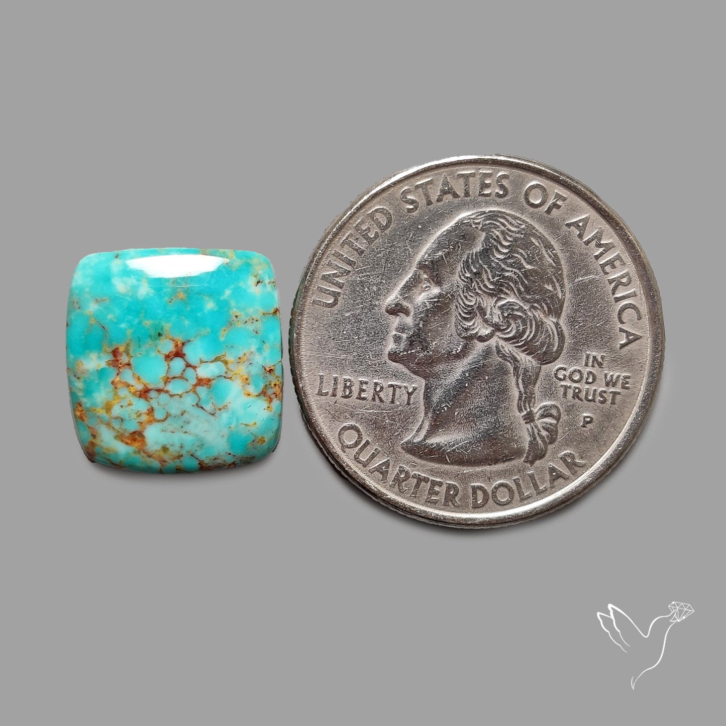 Rare Arizona Patogonia Turquoise Cabochon