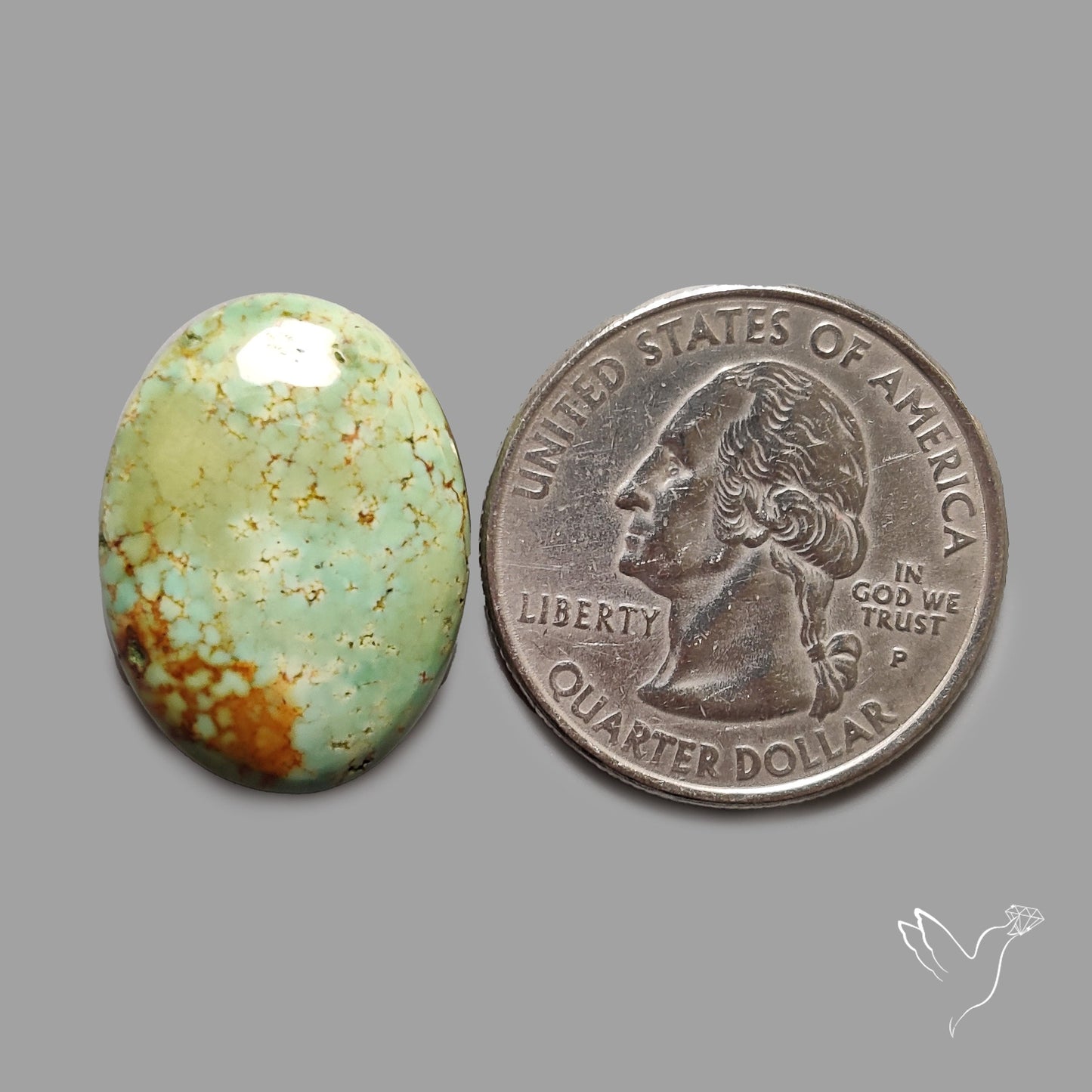 Rare Arizona Patogonia Turquoise Cabochon