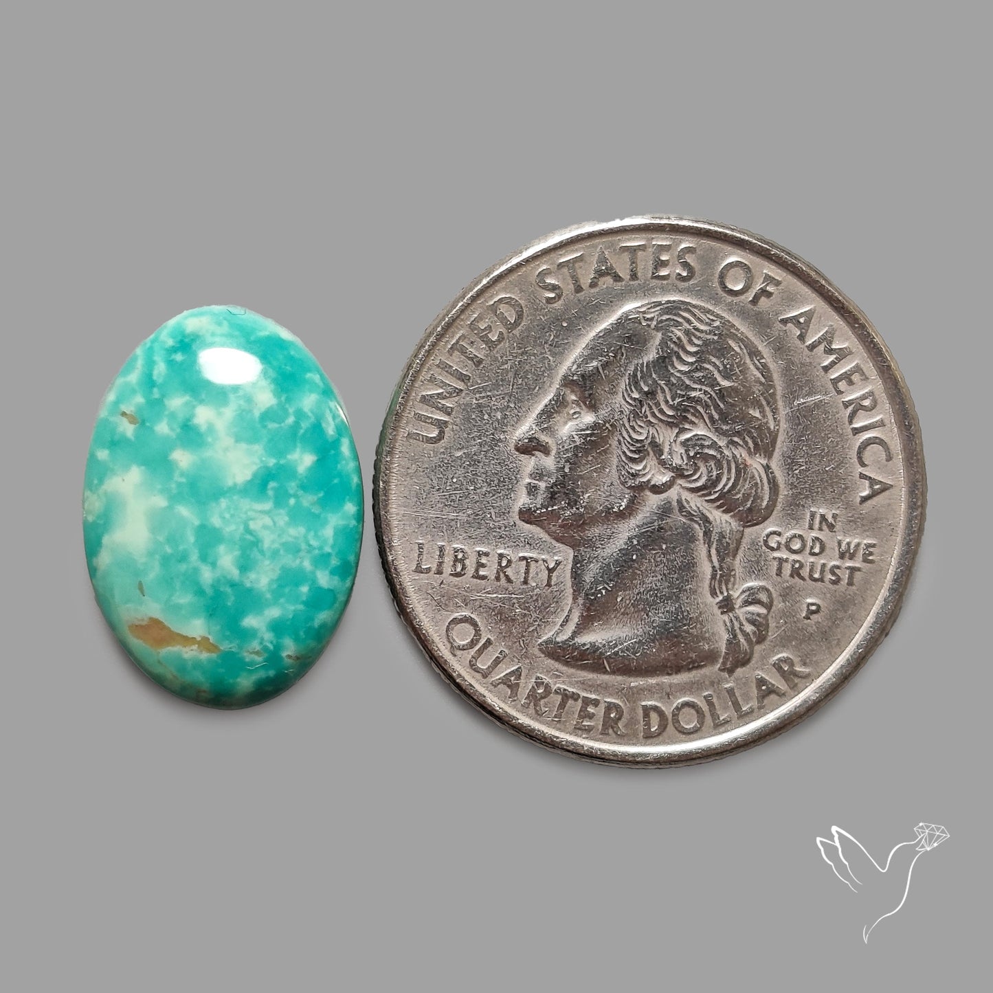 Rare Arizona Patogonia Turquoise Cabochon
