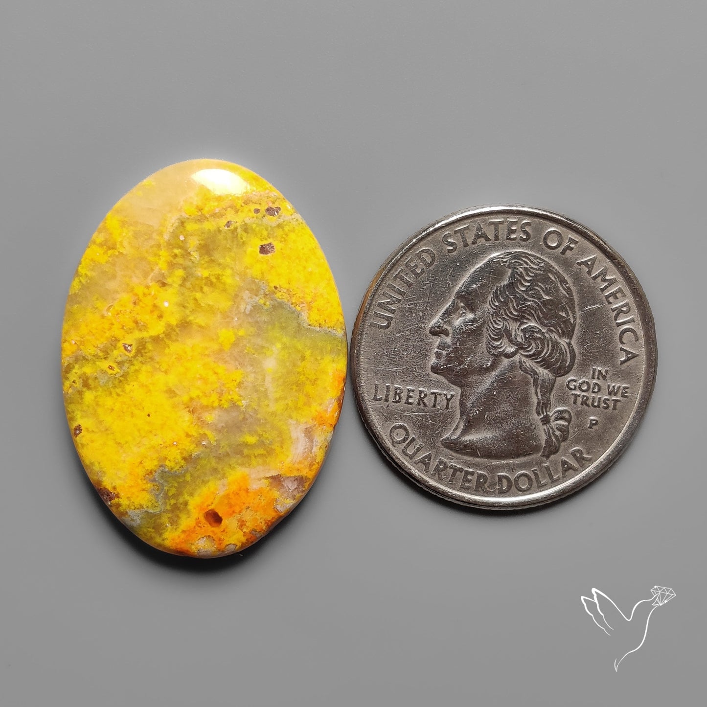 Bumble Bee Jasper Cabochon