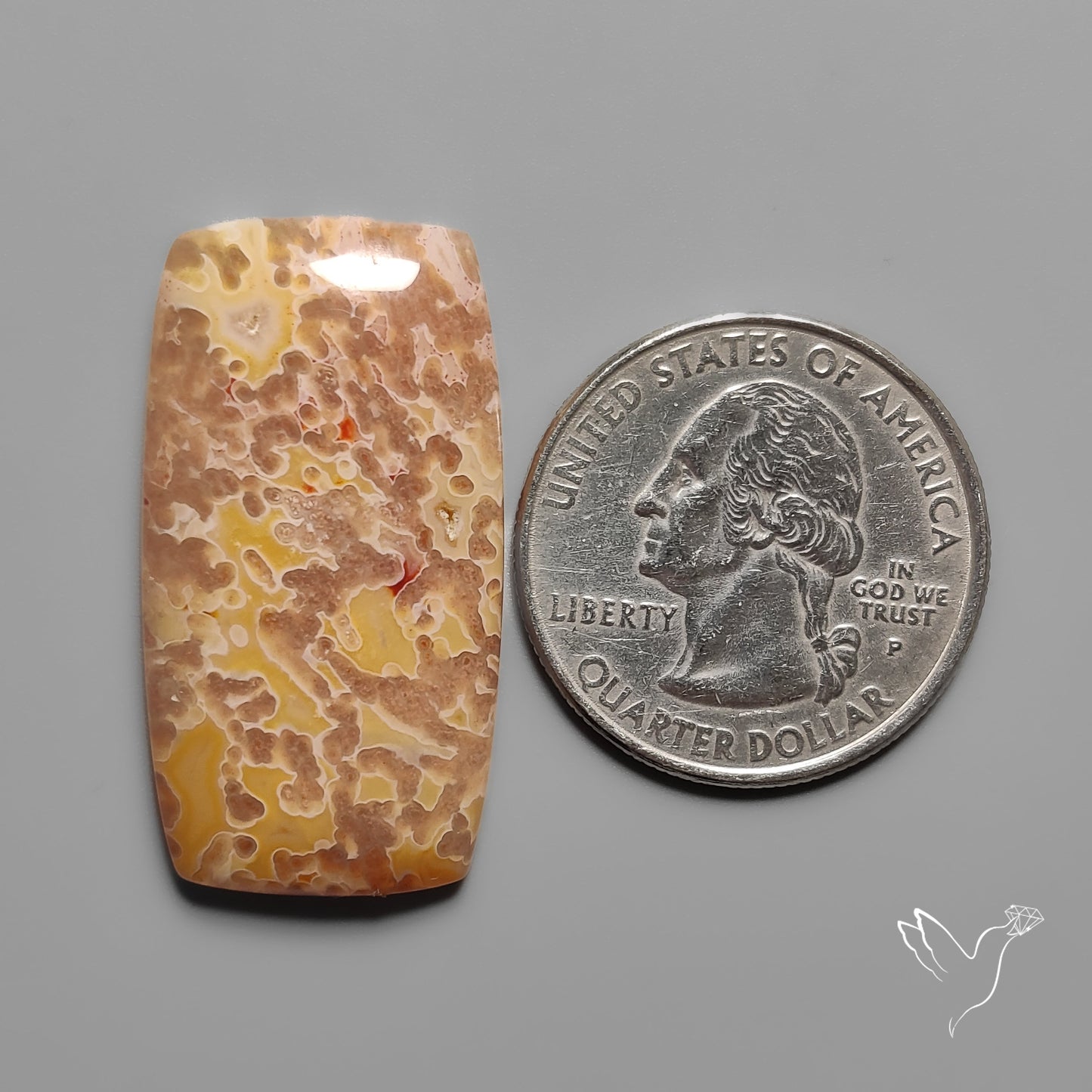 Smuggler Cove Moss Agate Cabochon