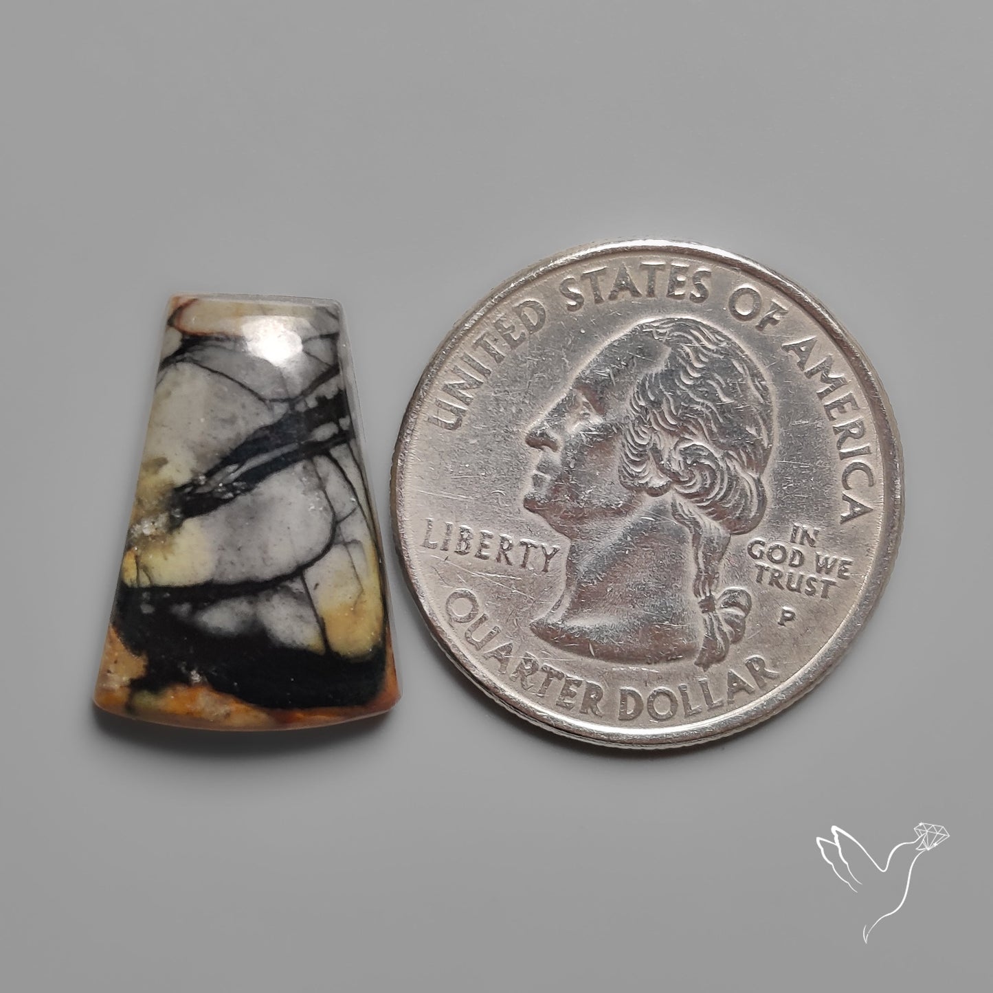 Picasso Jasper Cabochon