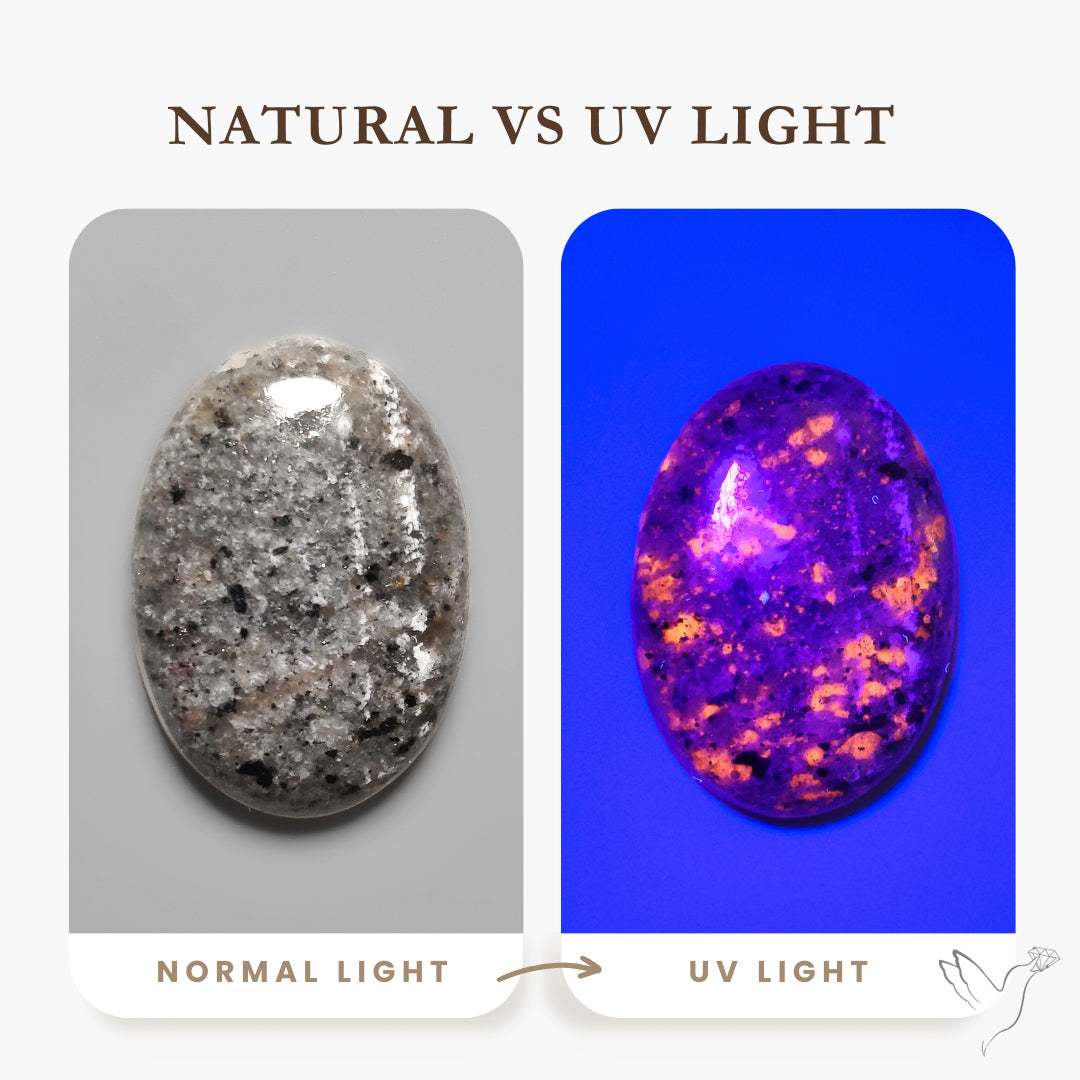 Yooperlite Cabochon UV Light Fluorescent