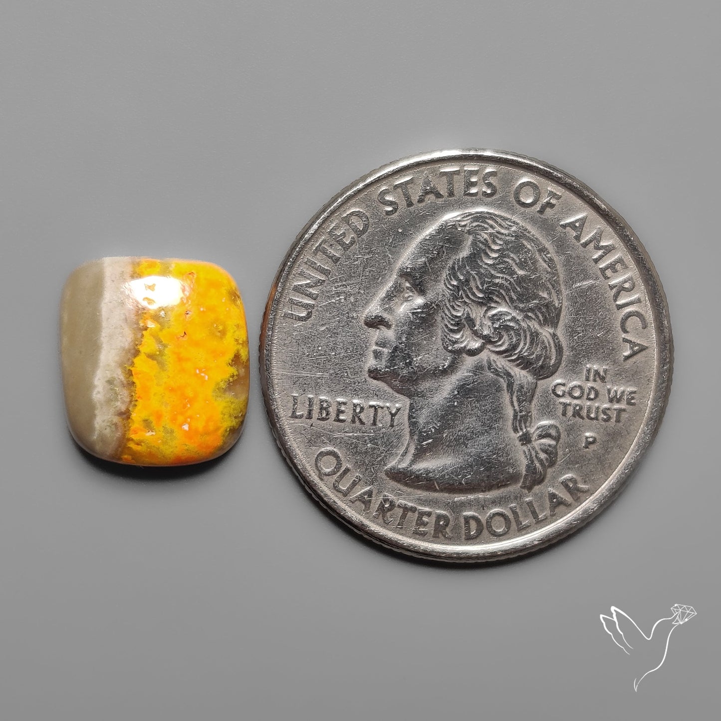 Bumble Bee Jasper Cabochon
