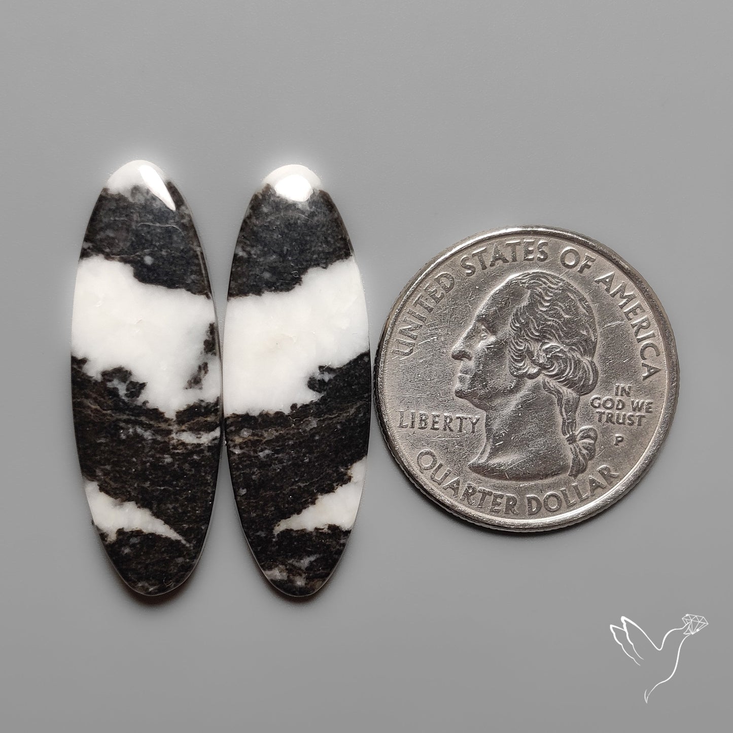 White Buffalo Turquoise Pair