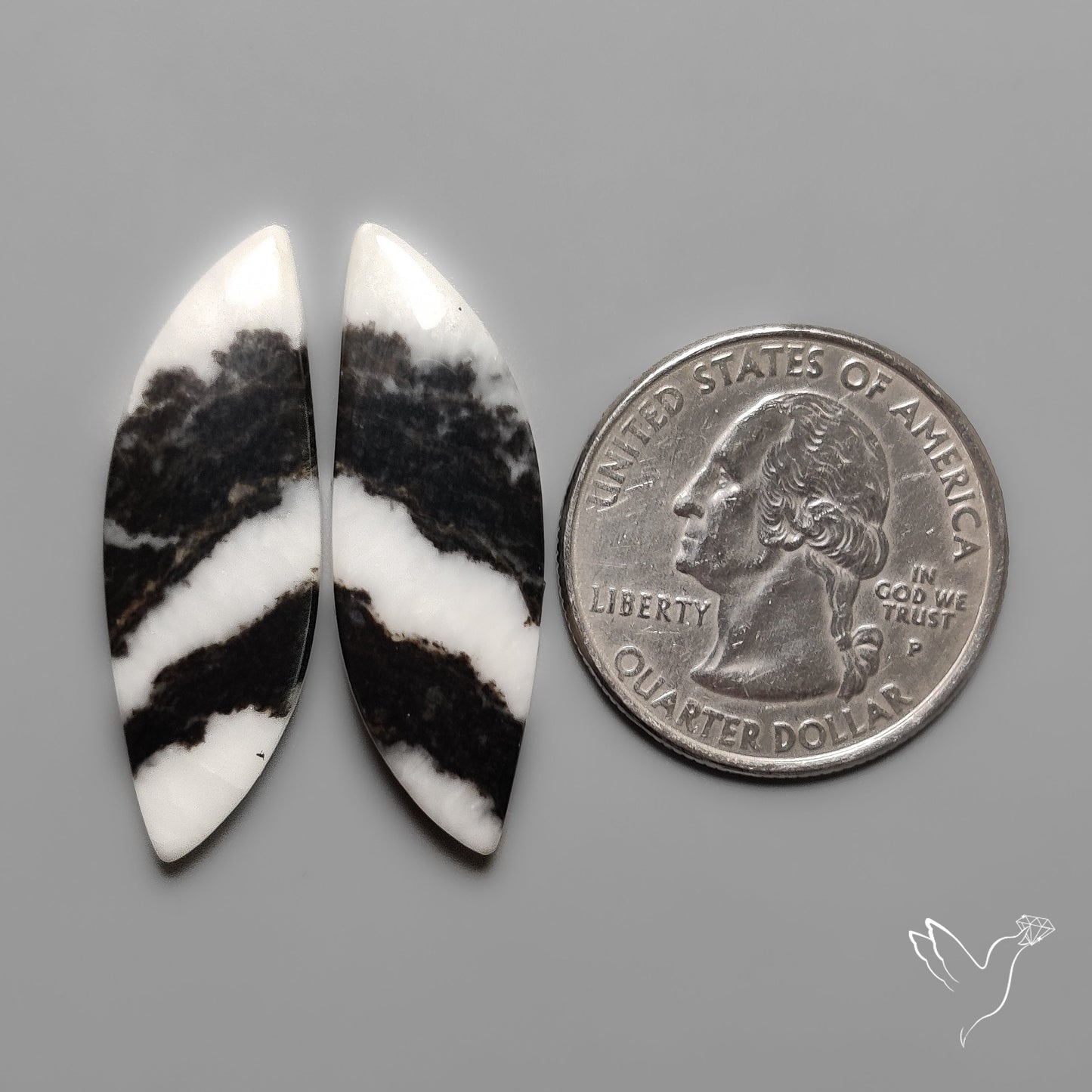 White Buffalo Turquoise Pair