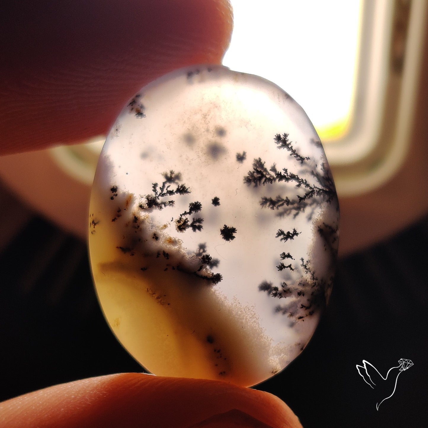 Dendritic Agate Cabochon