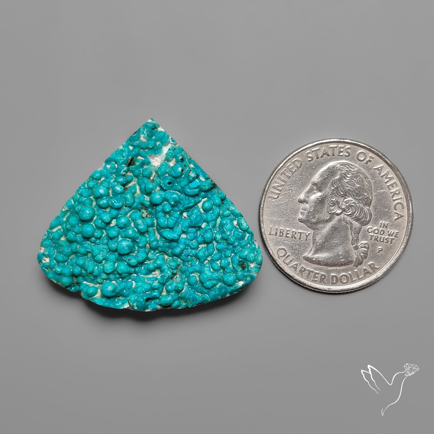 Rare Botryoidal Chrysocolla Raw Faced