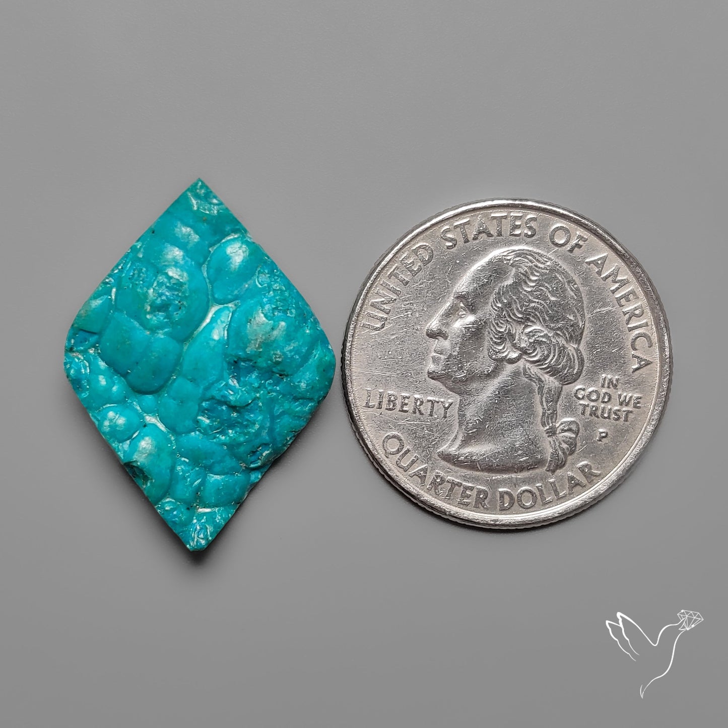 Rare Botryoidal Chrysocolla Raw Faced