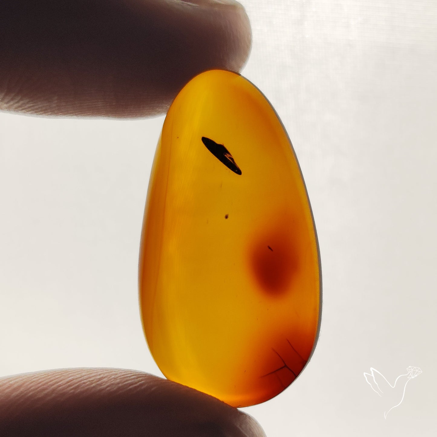 Baltic Amber Cabochon