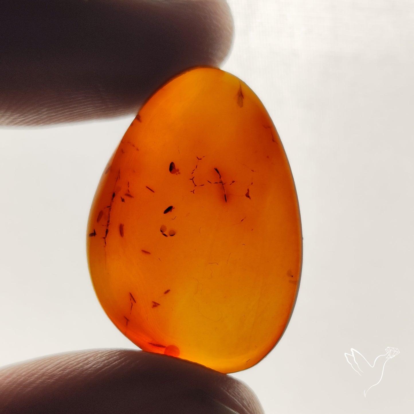 Baltic Amber Cabochon