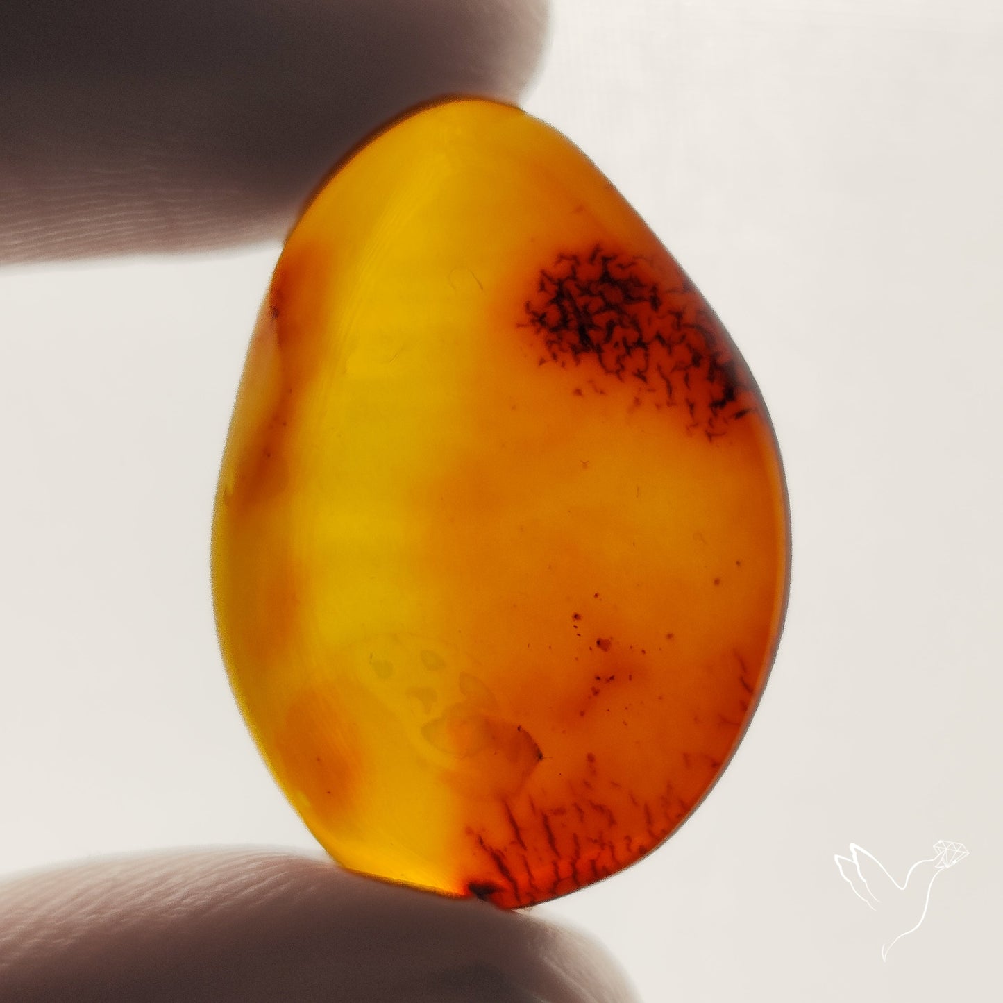 Baltic Amber Cabochon