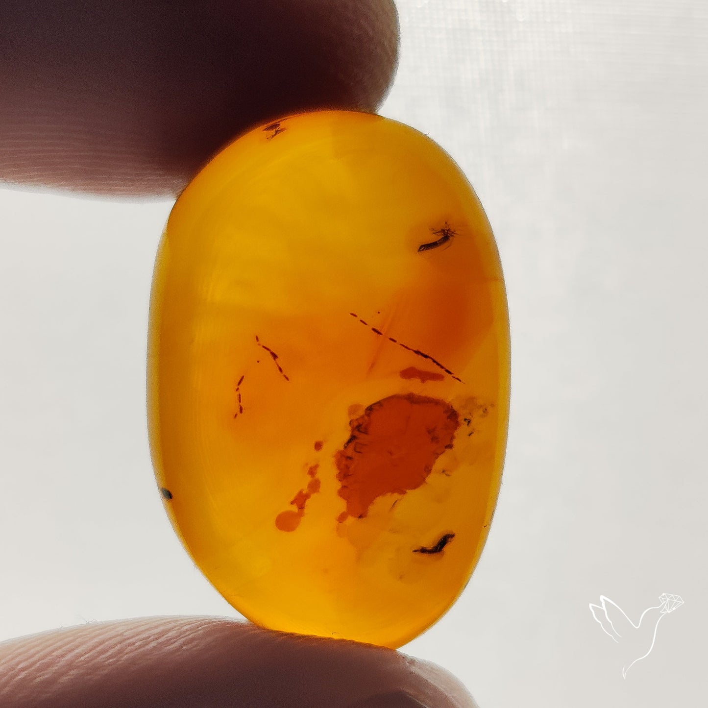 Baltic Amber Cabochon