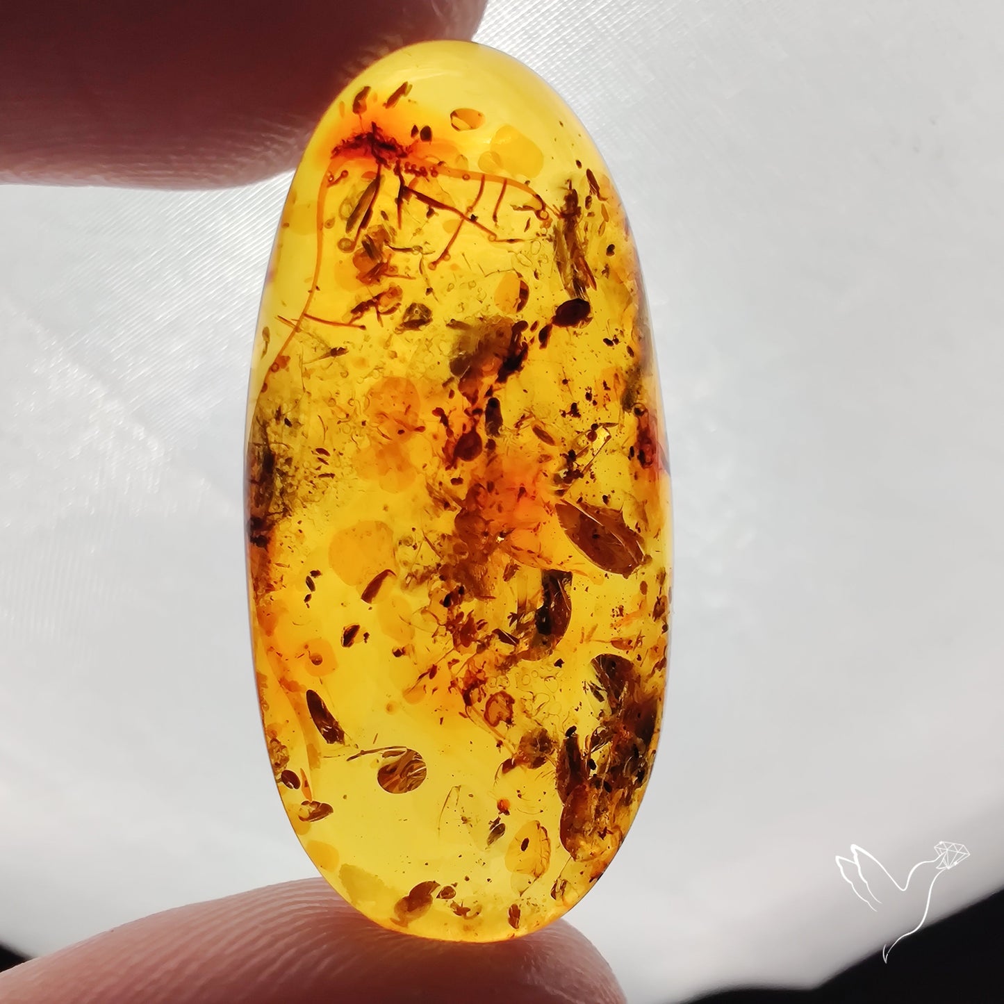 Baltic Amber Cabochon