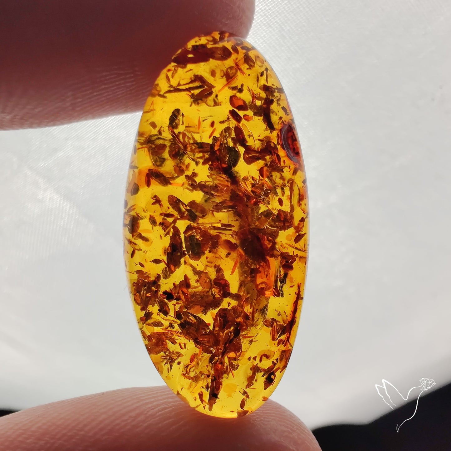 Baltic Amber Cabochon