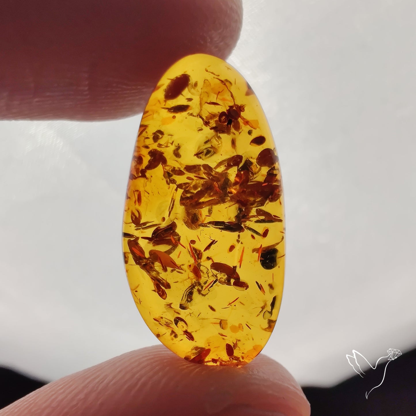 Baltic Amber Cabochon