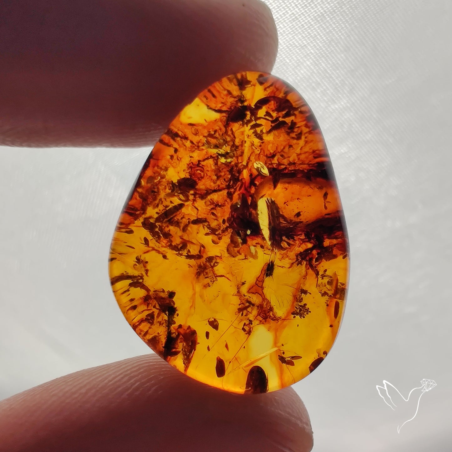 Baltic Amber Cabochon