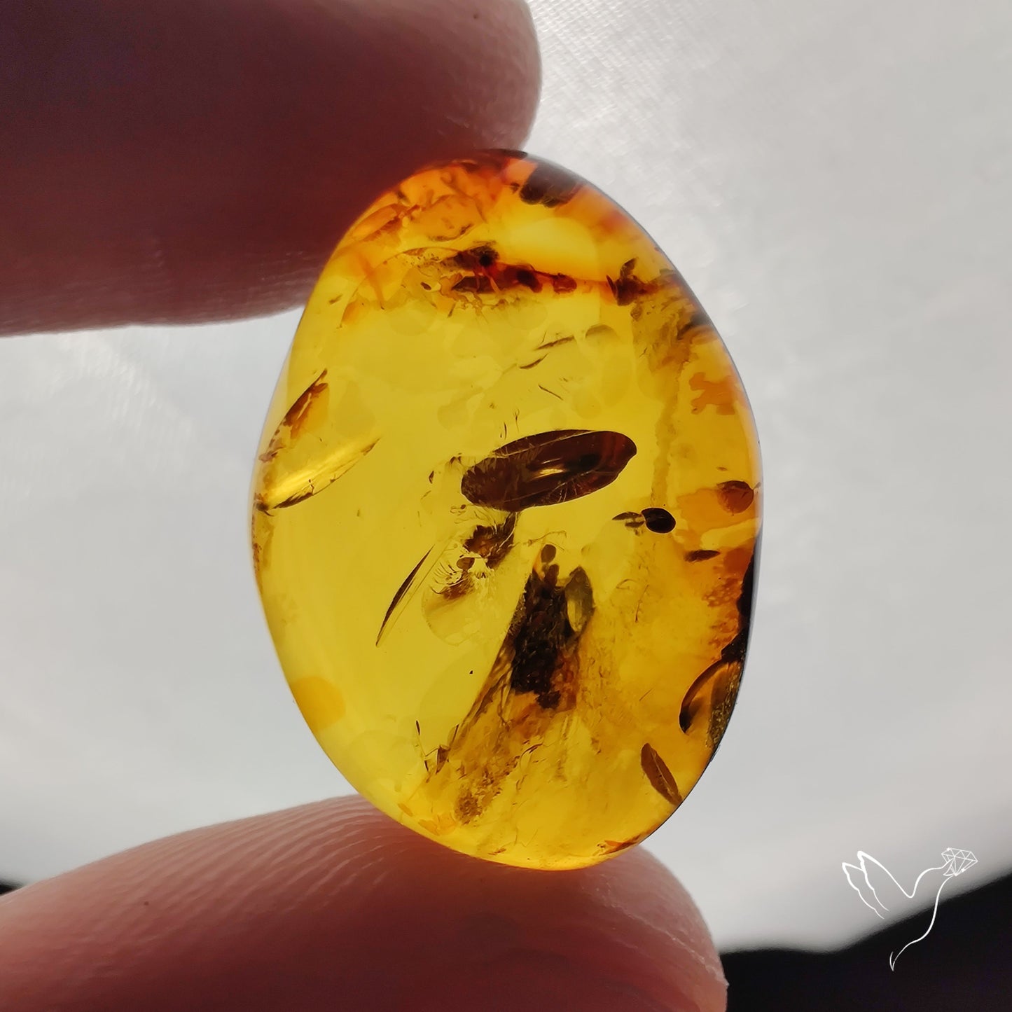 Baltic Amber Cabochon