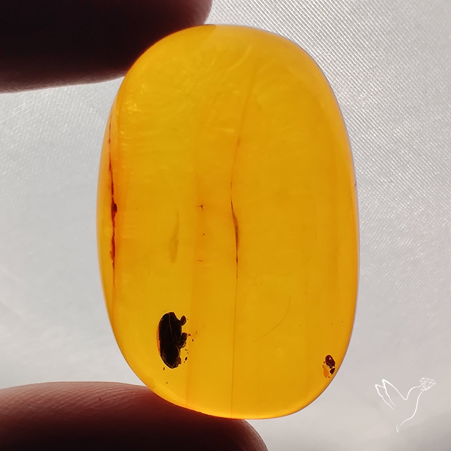Baltic Amber Cabochon