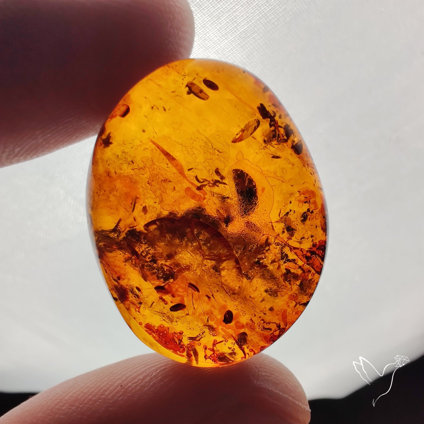 Baltic Amber Cabochon