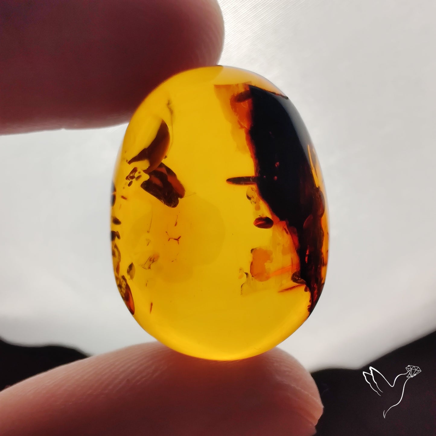 Baltic Amber Cabochon