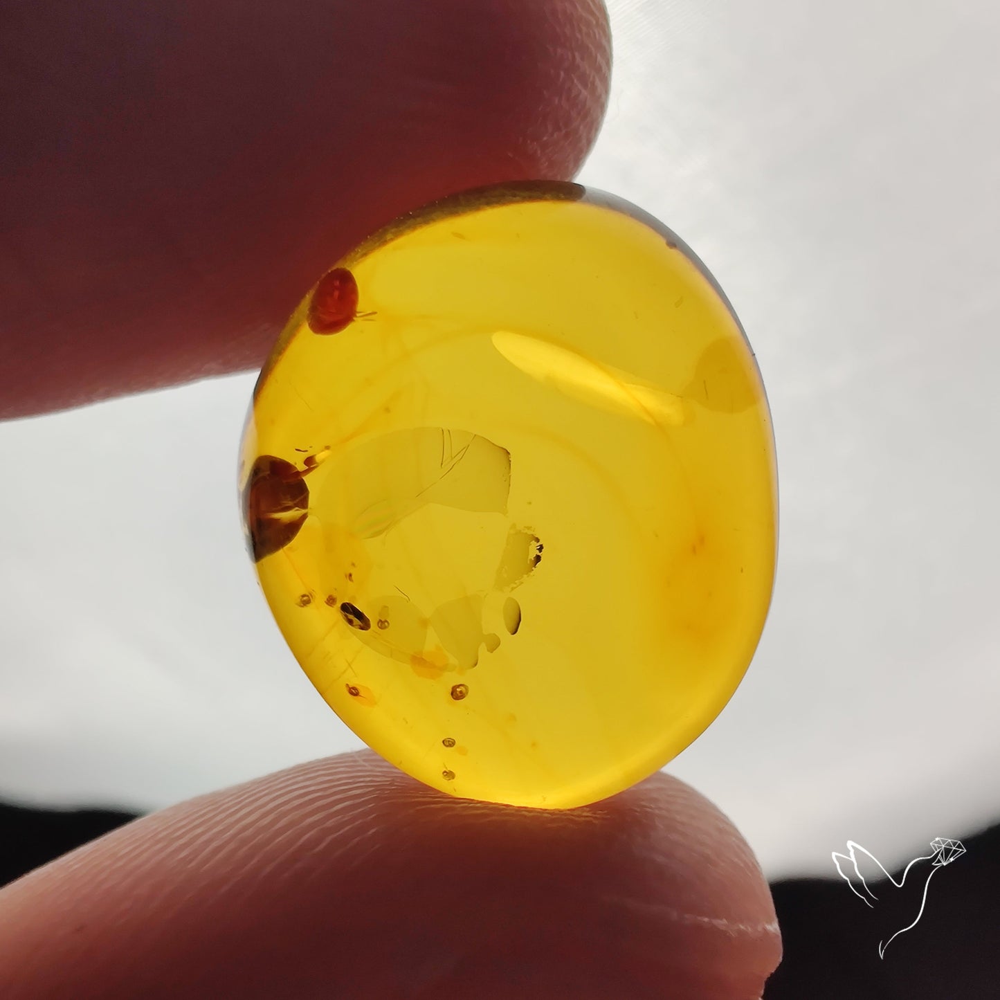 Baltic Amber Cabochon