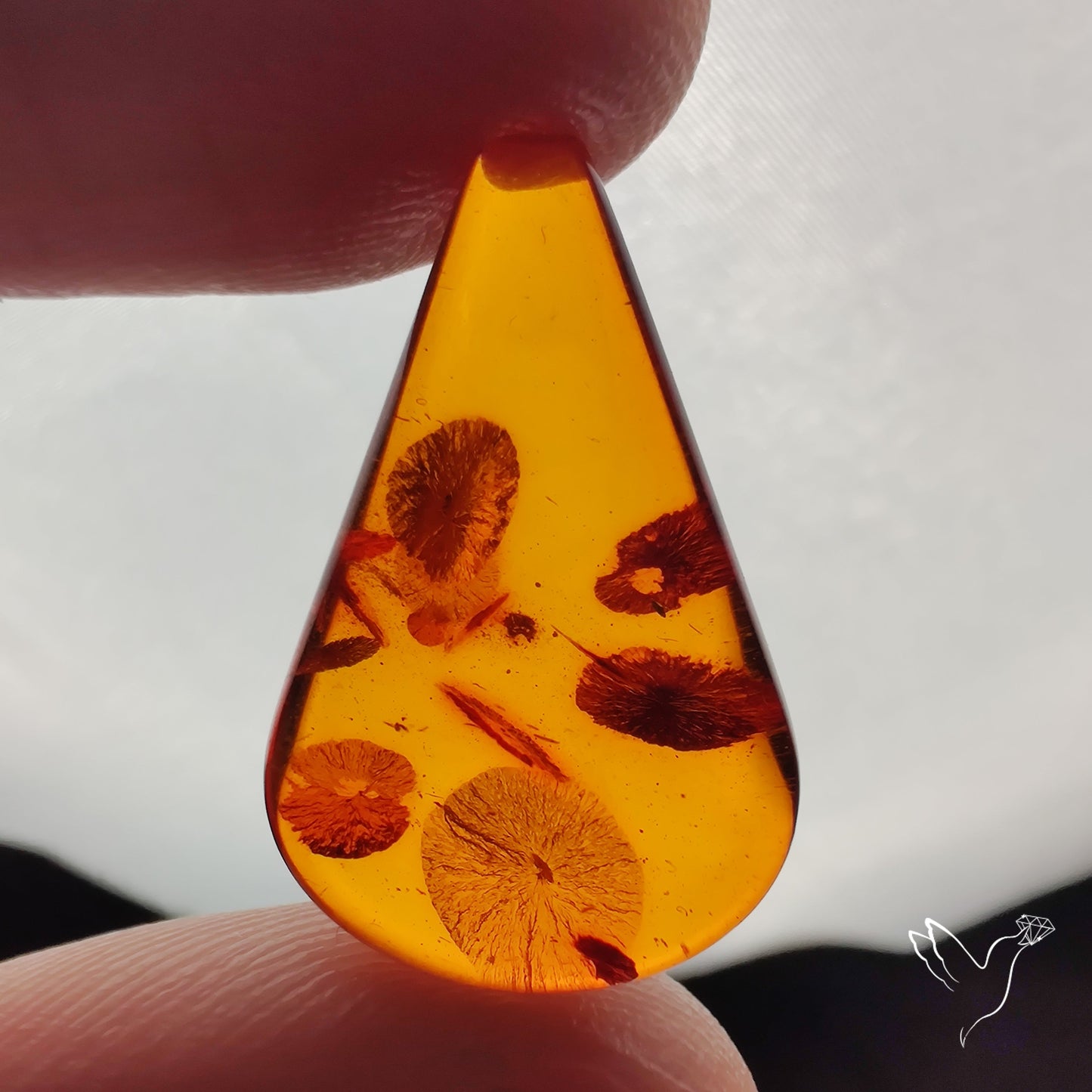 Baltic Amber Cabochon