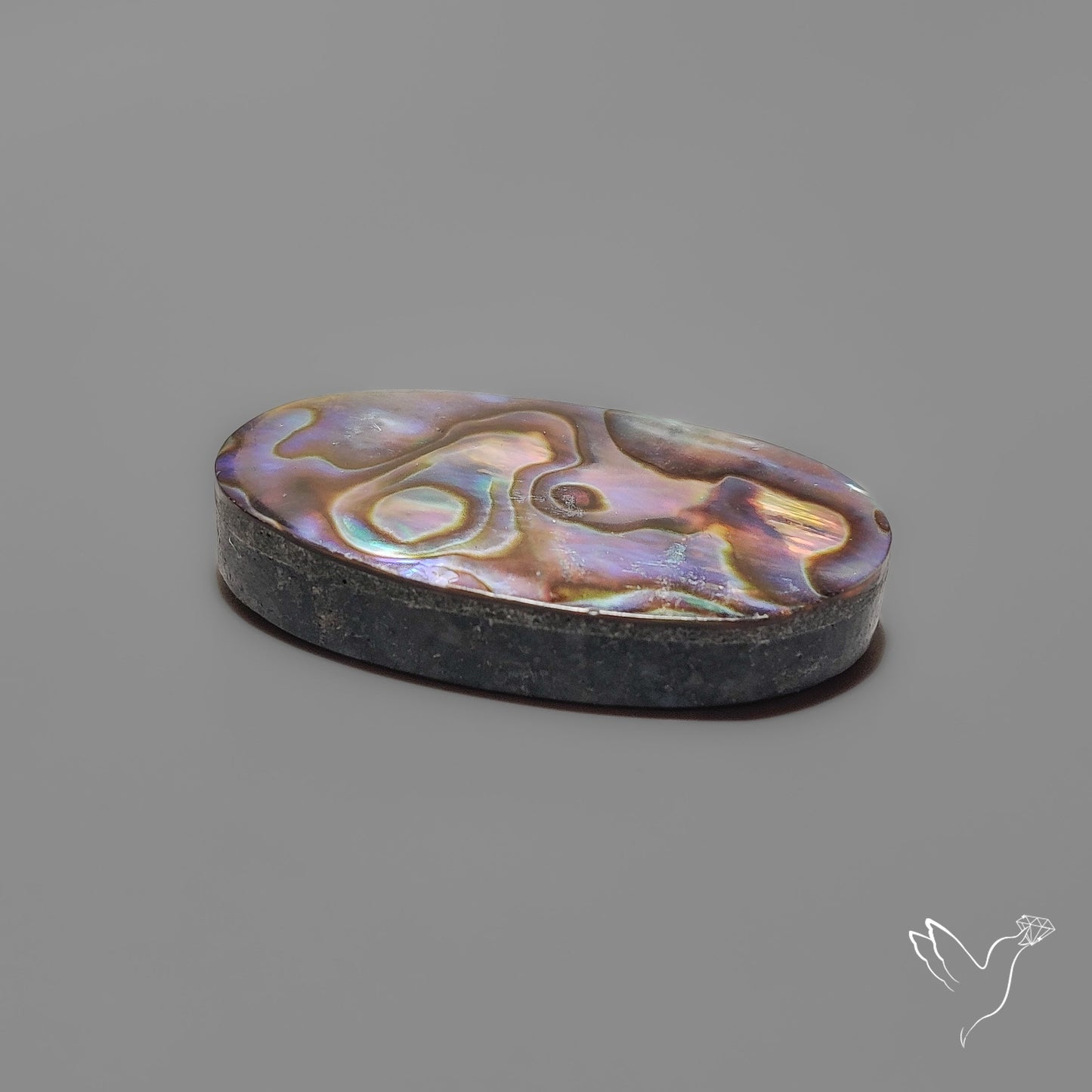 Abalone Shell