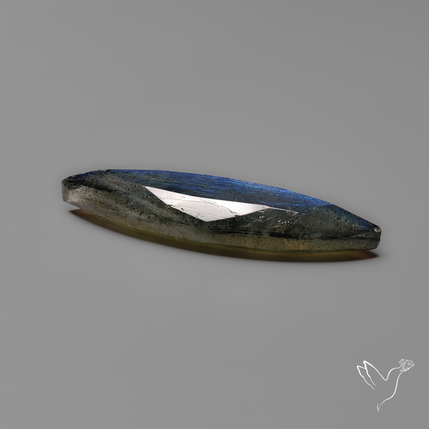 Portrait Cut Blue Labradorite Flat Backed