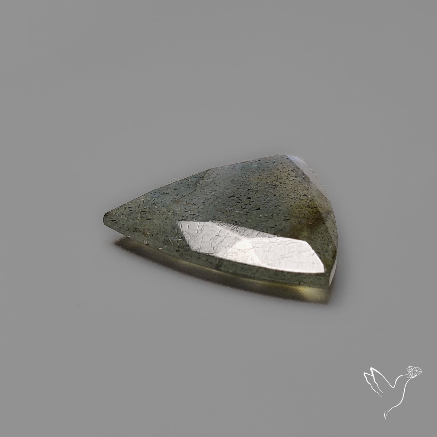 Portrait Cut Blue Labradorite Flat Backed