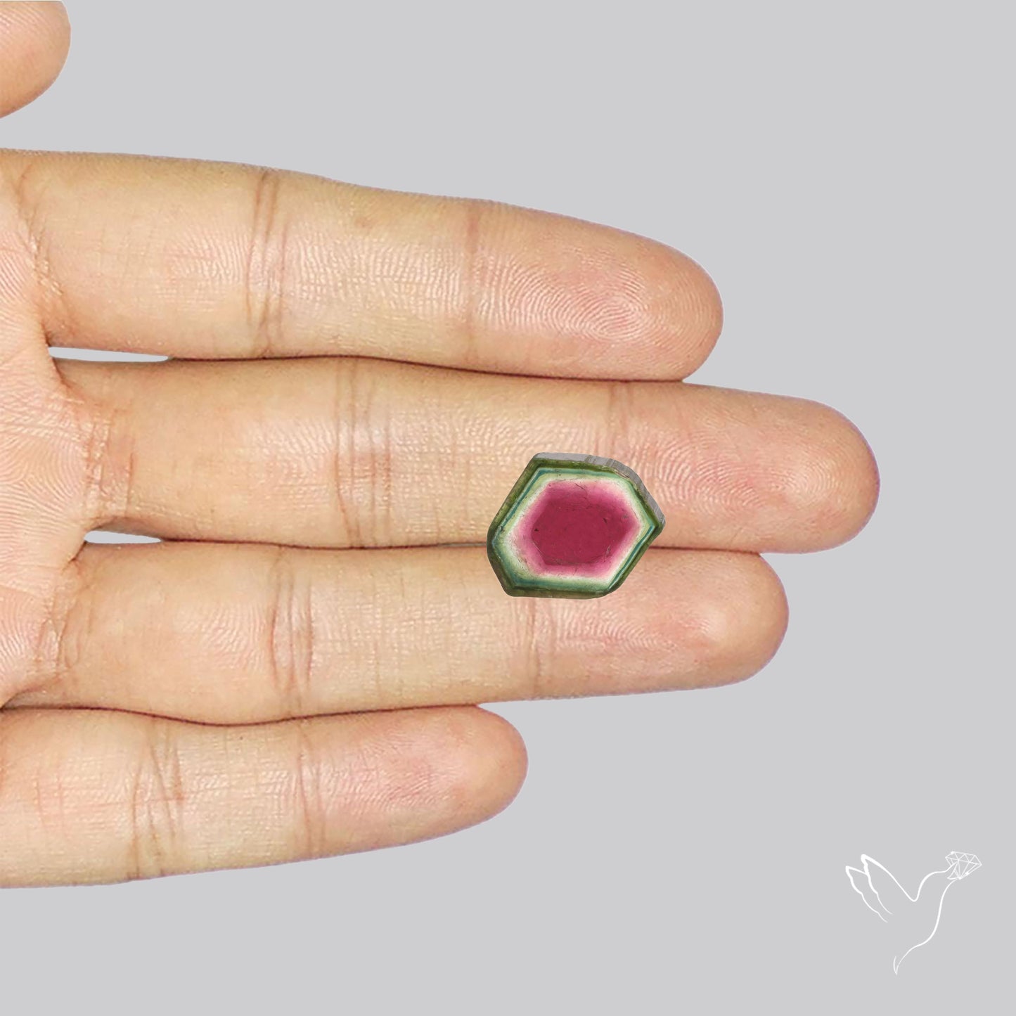 Watermelon Tourmaline Slice Rare Perfect Green Border