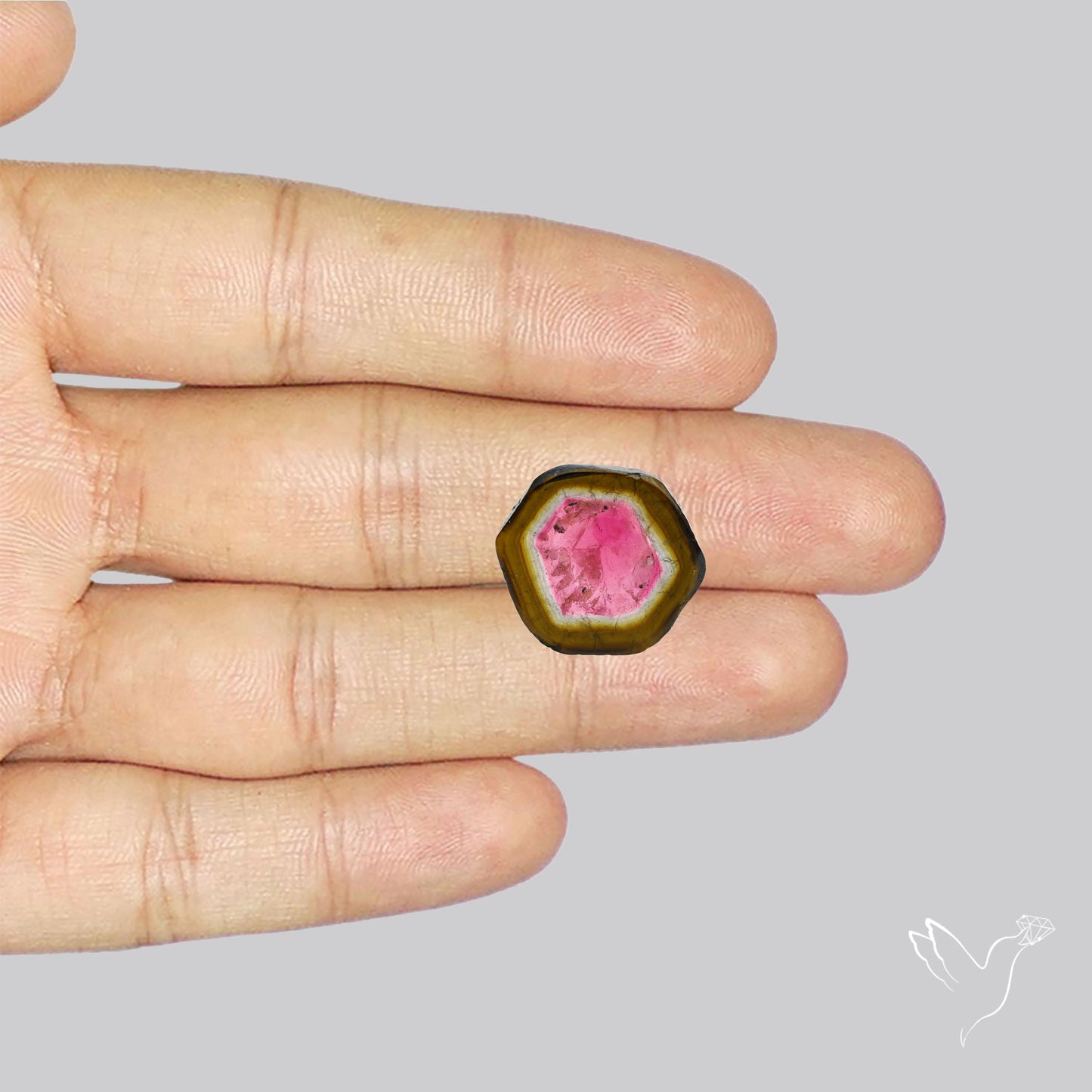 Watermelon Tourmaline Slice Rare Perfect Green Border