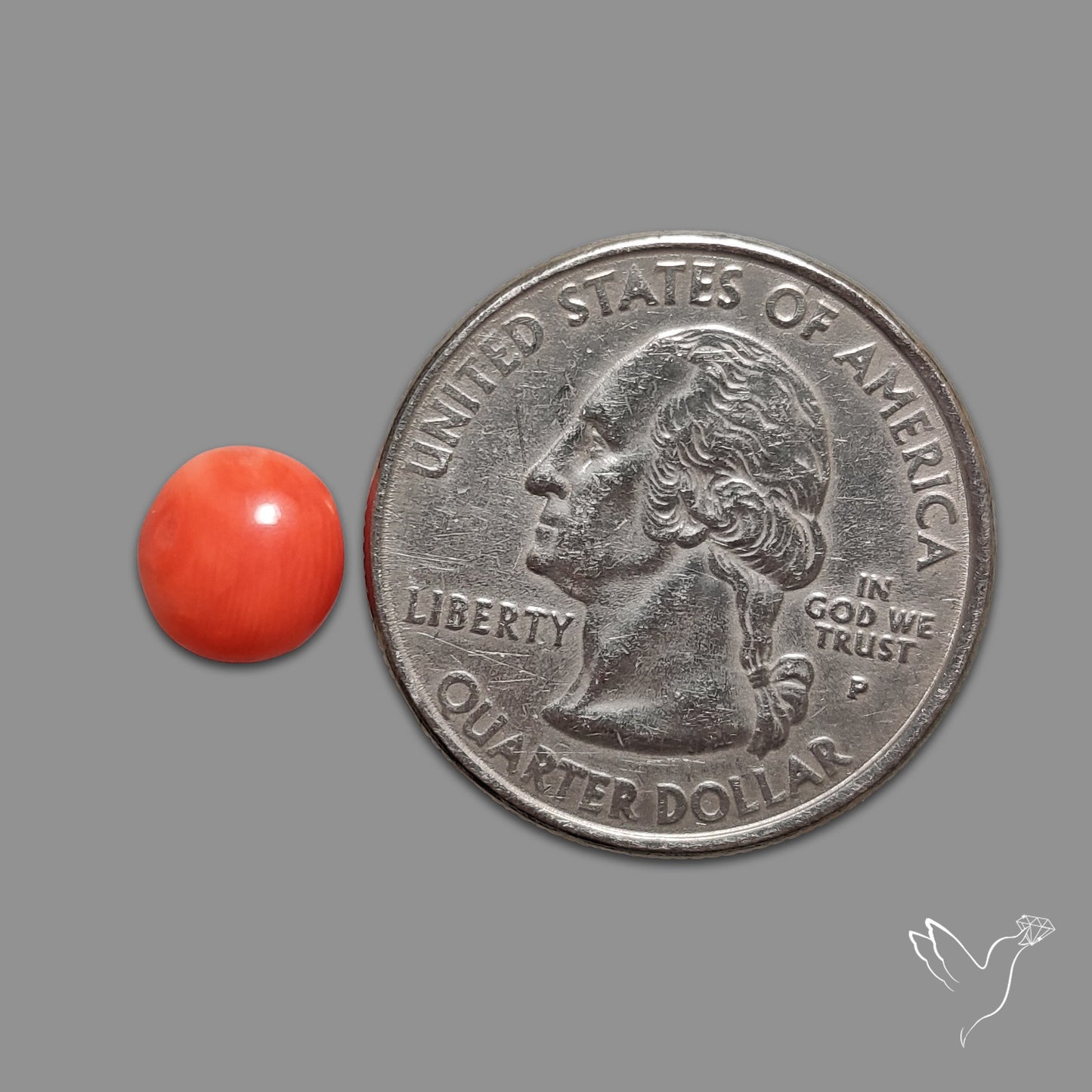 Red Coral Cabochon