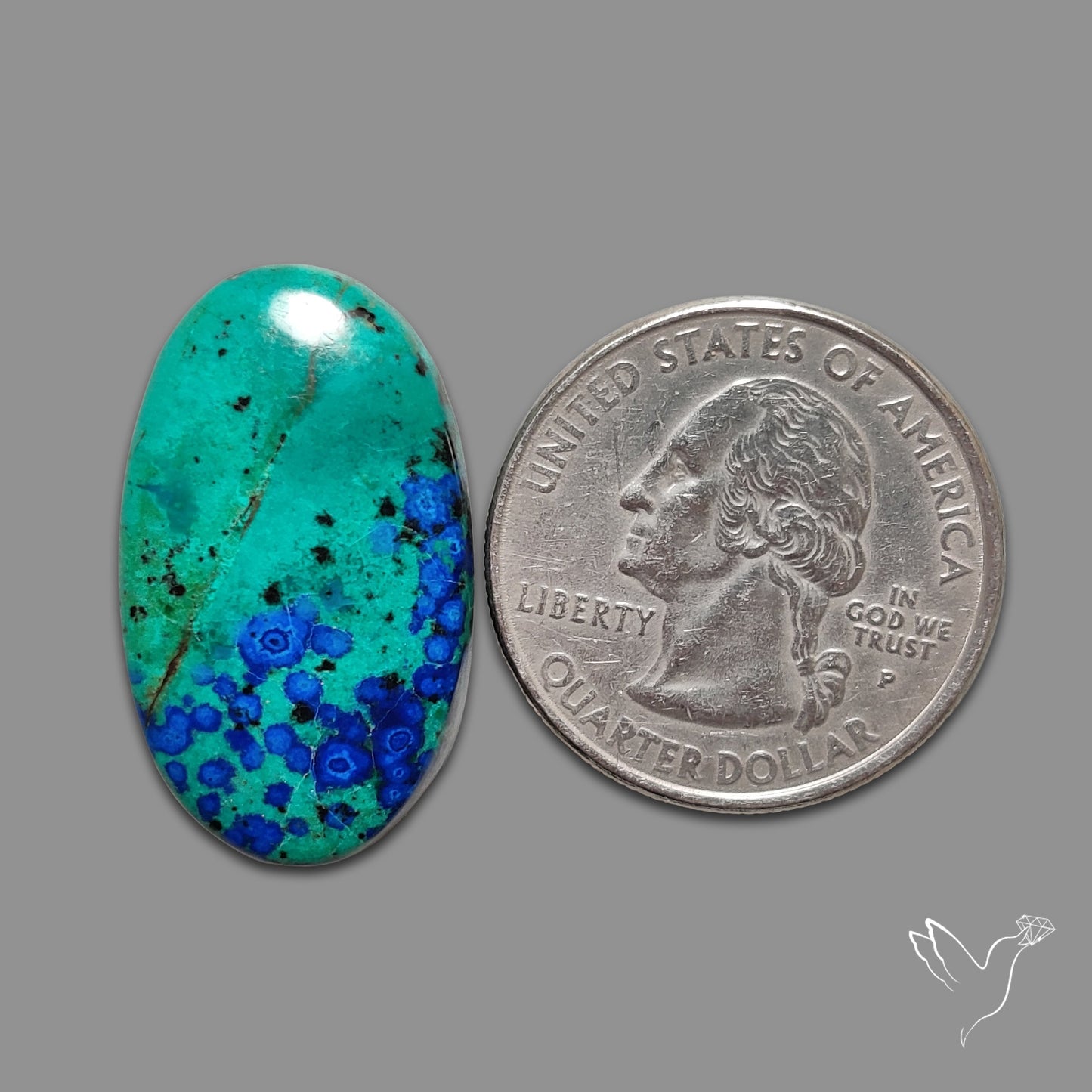 Bluebird Azurite Malachite Cabochon