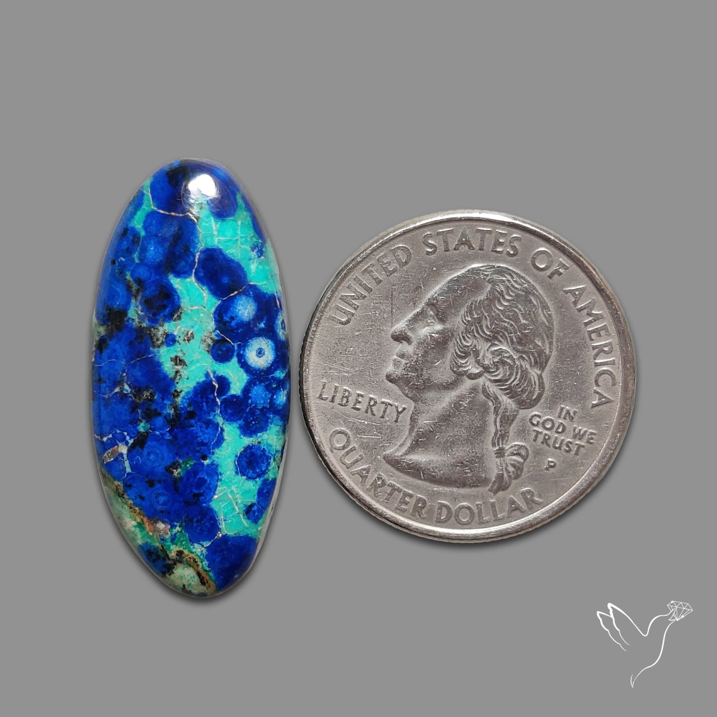 Bluebird Azurite Malachite Cabochon