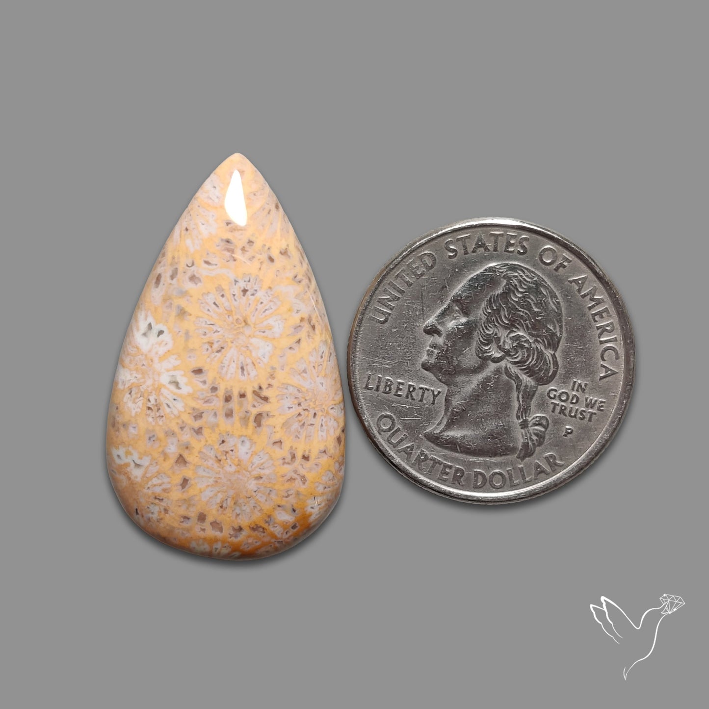 Fossil Coral Cabochon