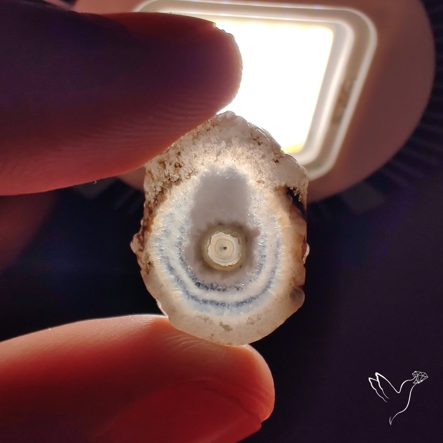 Solar Quartz Stalactite Slice