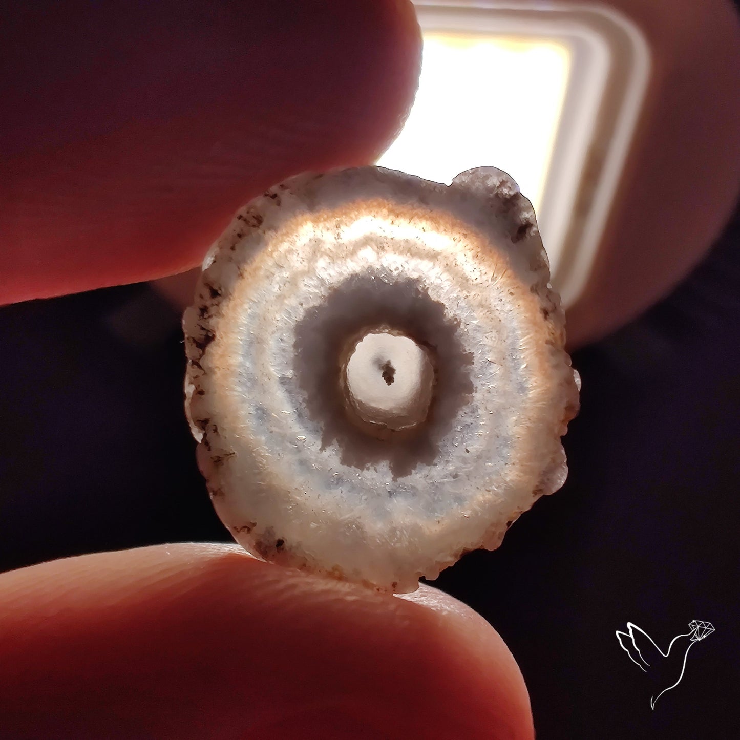 Solar Quartz Stalactite Slice
