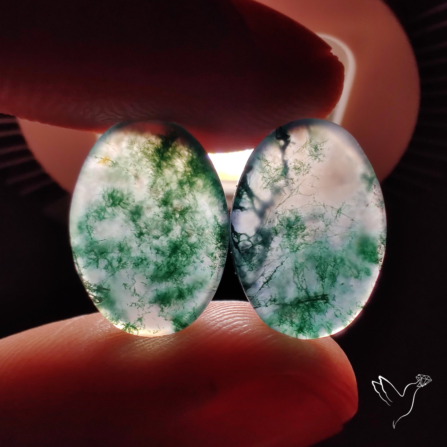 Moss Agate Pair
