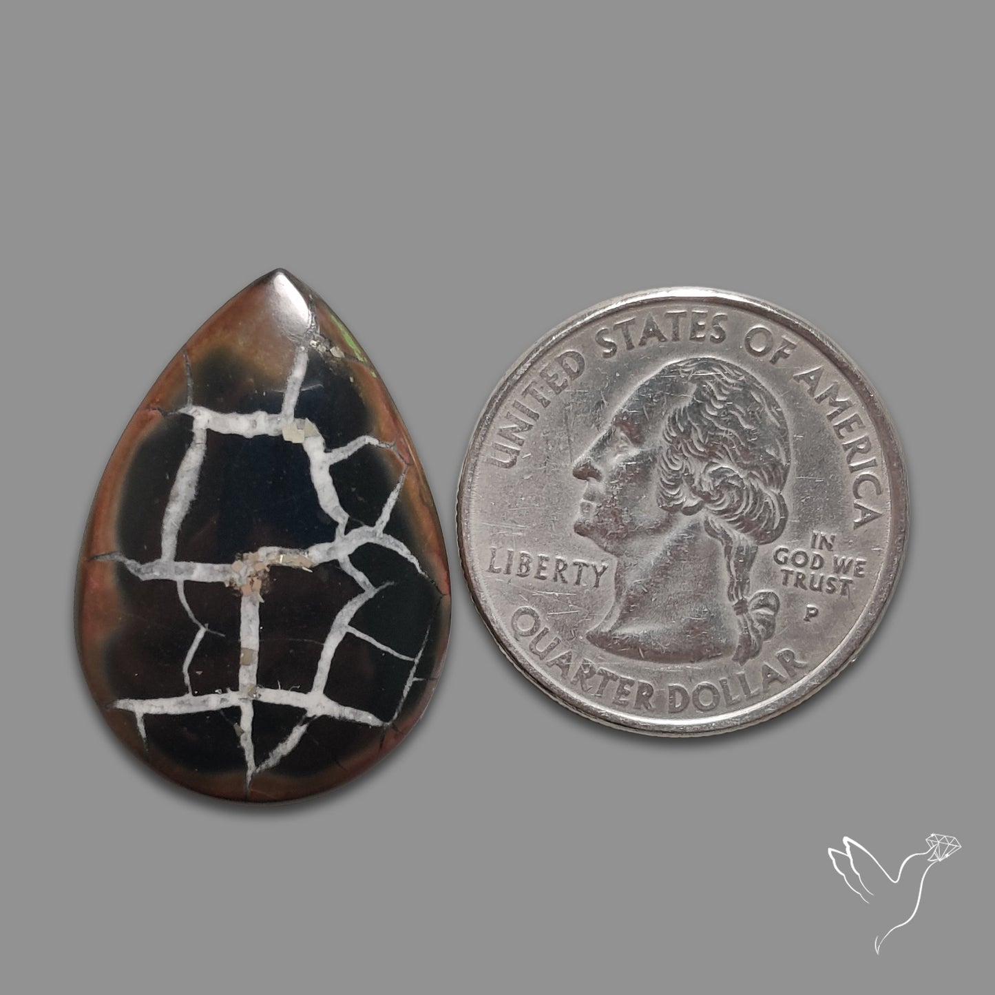 Black Septarian Fossil Cabochon